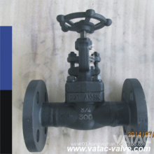 Cl800 ASTM A105 Forged Gate Valve